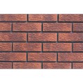 2E1 Facing Bricks